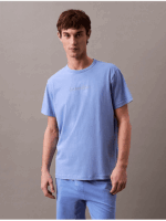 Calvin Klein Ανδρικό T-shirt Glacier