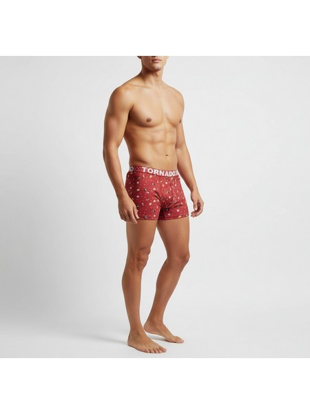 Zen Christmas Boxer Christmas trees